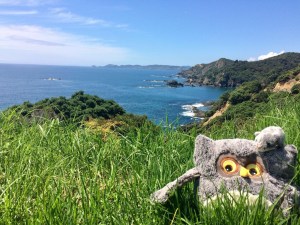 59e8e623-285f-48f7-8435-3bfb836f0361