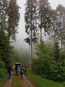 02da1d4f-9418-4995-8e4b-397c00555032